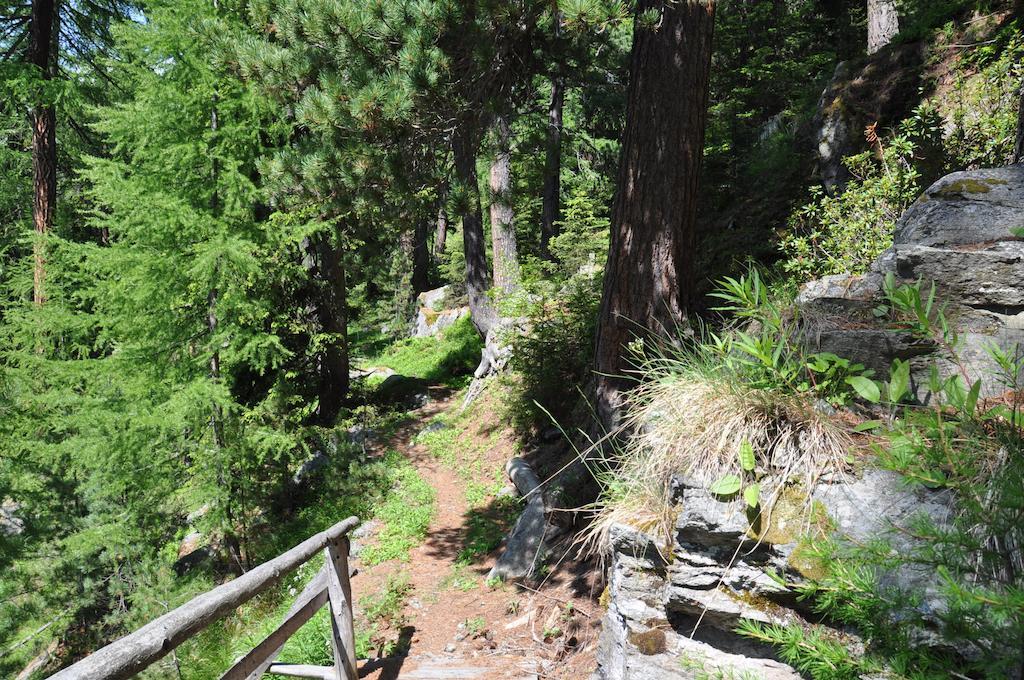 Gebidem 2* Visperterminen